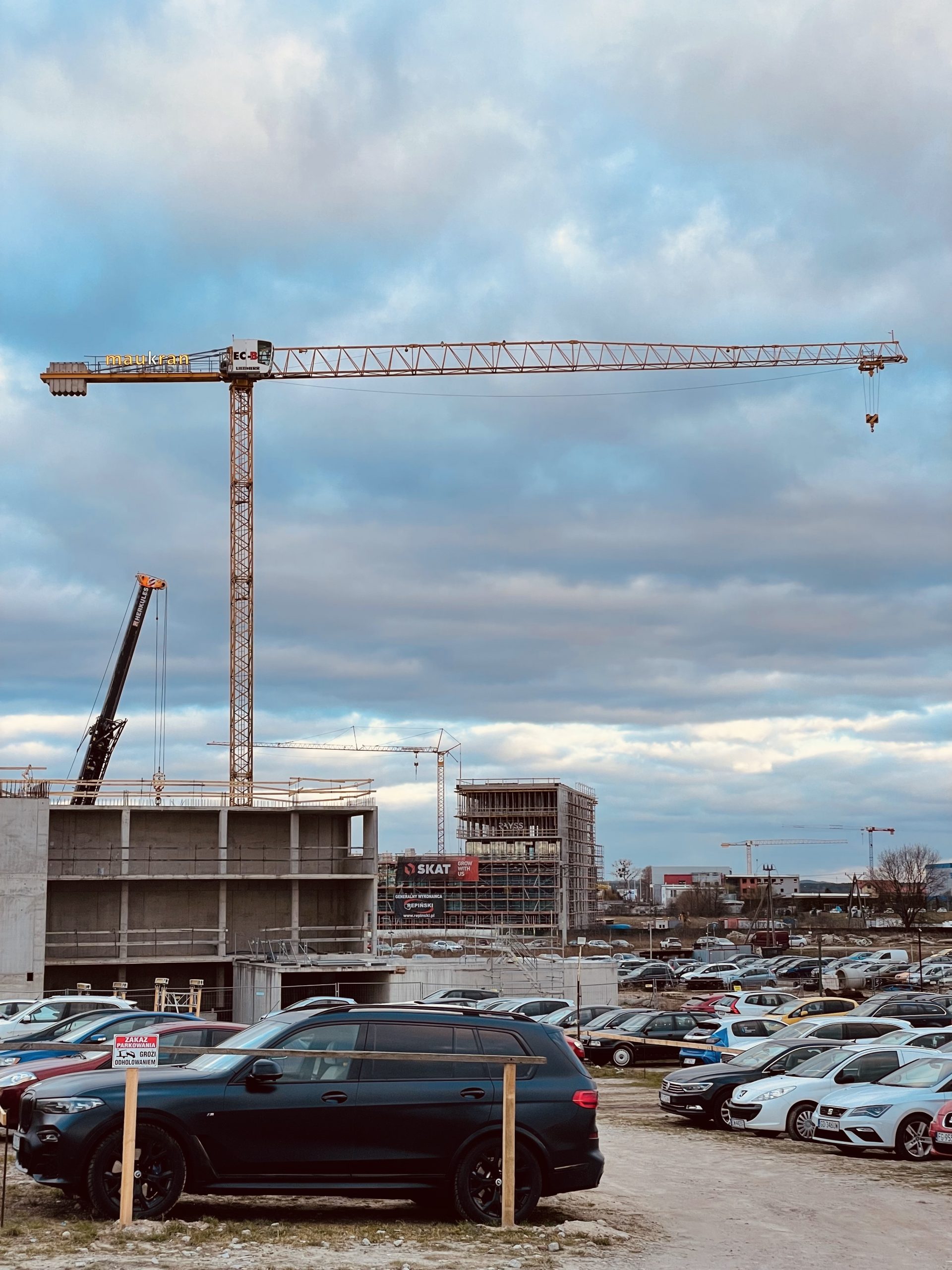 LIEBHERR 71 EC-B do wynajęcia 